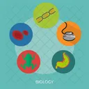 Biology  Icon