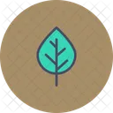 Birch  Icon