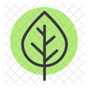 Birch  Icon