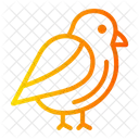 Bird  Icon