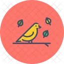 Bird  Icon