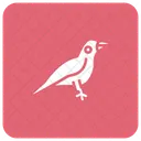 Bird  Icon