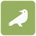 Bird  Icon