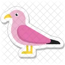 Bird  Icon