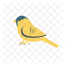 Bird  Icon