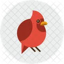 Bird Nature Spring Icon