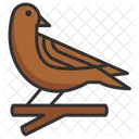 Bird Animal Nature Icon