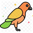 Bird  Icon