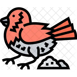 Bird  Icon