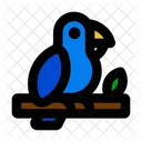 Bird  Icon