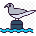 Bird  Icon