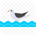 Bird  Icon