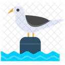 Bird  Icon