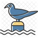 Bird  Icon