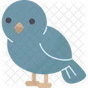 Bird Sparrow Avian Icon