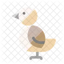 Bird  Icon