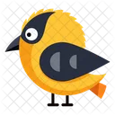 Bird  Icon