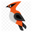 Bird  Icon