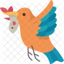 Bird  Icon