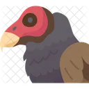 Bird  Icon