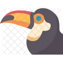 Bird  Icon