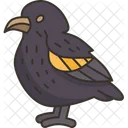 Bird Finch Vampire Symbol