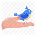 Bird Care  Icon