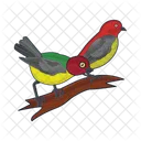 Bird Animal Pigeon Icon