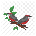 Bird Animal Pigeon Icon