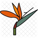 Bird Of Paradise Bird Floral Symbol