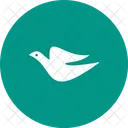 Birds Icon