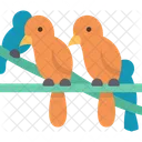 Birds  Icon