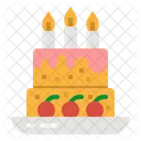 Birthday Cake  Icon