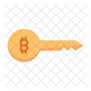 Bitcoin Key  Icon