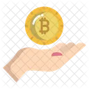 Bitcoin Payment  Icon