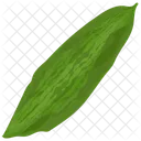 Bitter Gourd  Icon