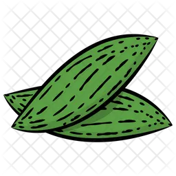 Bitter Gourd  Icon