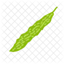 Bitter Gourd アイコン