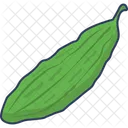 Bitter Gourd Gourd Bitter アイコン