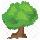 Black Ash Fraxinus Icon