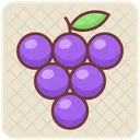 Black Currant Blueberries Berries Icon