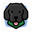 Black Dog Labrador Black Icon