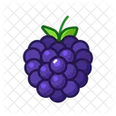 Blackberry  Icon