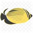 Blacktail Butterfly Fish Sea Creature Animal Icon