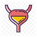 Bladder  Icon