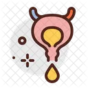 Bladder Organ Anatomy Icon