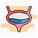 Bladder Icon