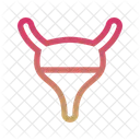 Bladder Icon