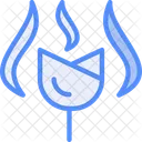 Blaze Bloom  Icon