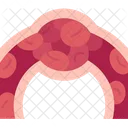 Blood Clot Coagulation Icon